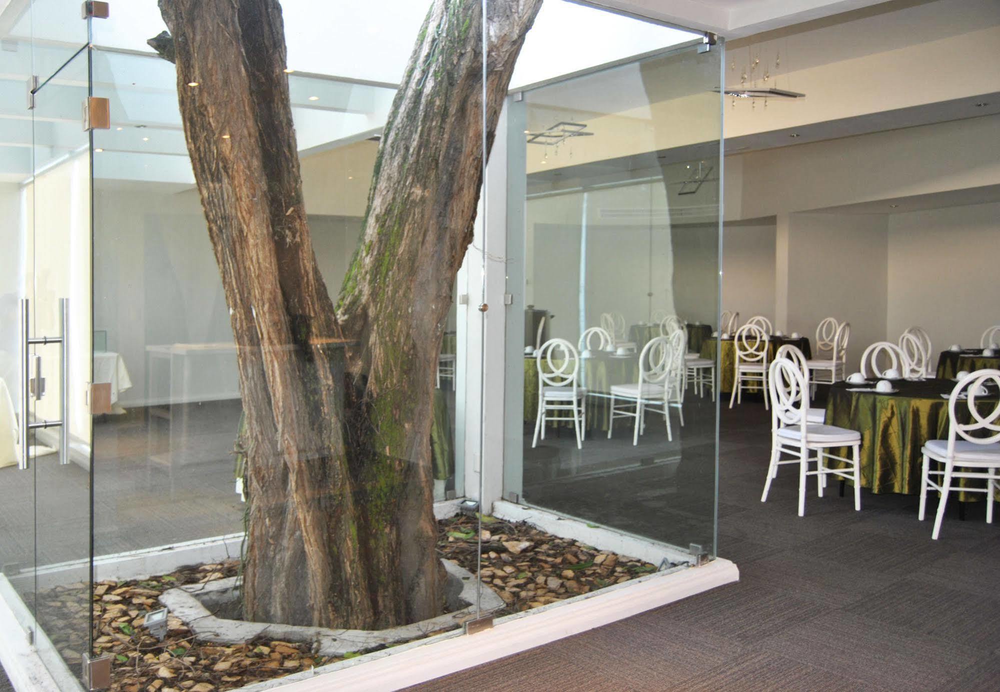 Hotel Los Andes San Pedro Sula Eksteriør bilde